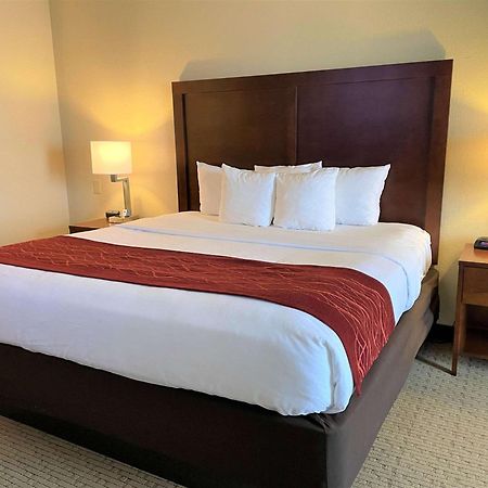 Comfort Inn & Suites Rogersville Екстериор снимка