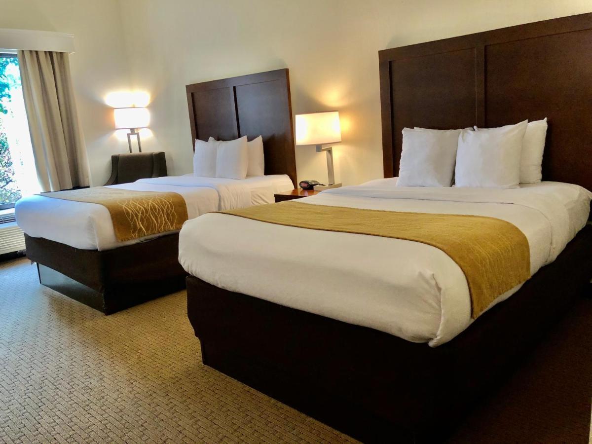 Comfort Inn & Suites Rogersville Екстериор снимка