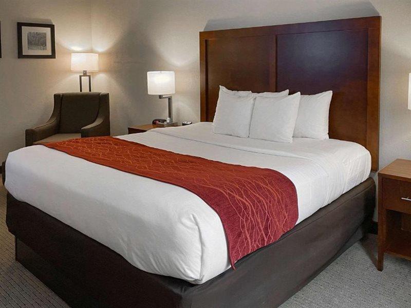 Comfort Inn & Suites Rogersville Екстериор снимка