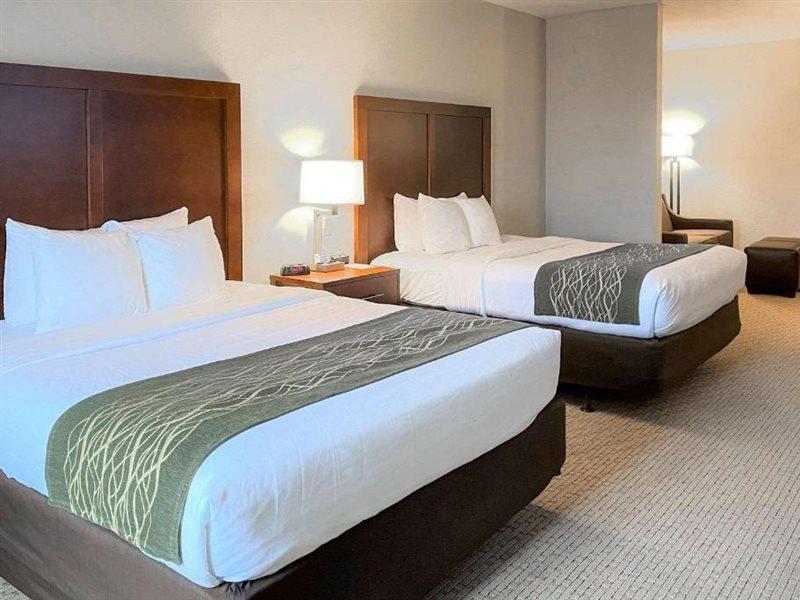 Comfort Inn & Suites Rogersville Екстериор снимка