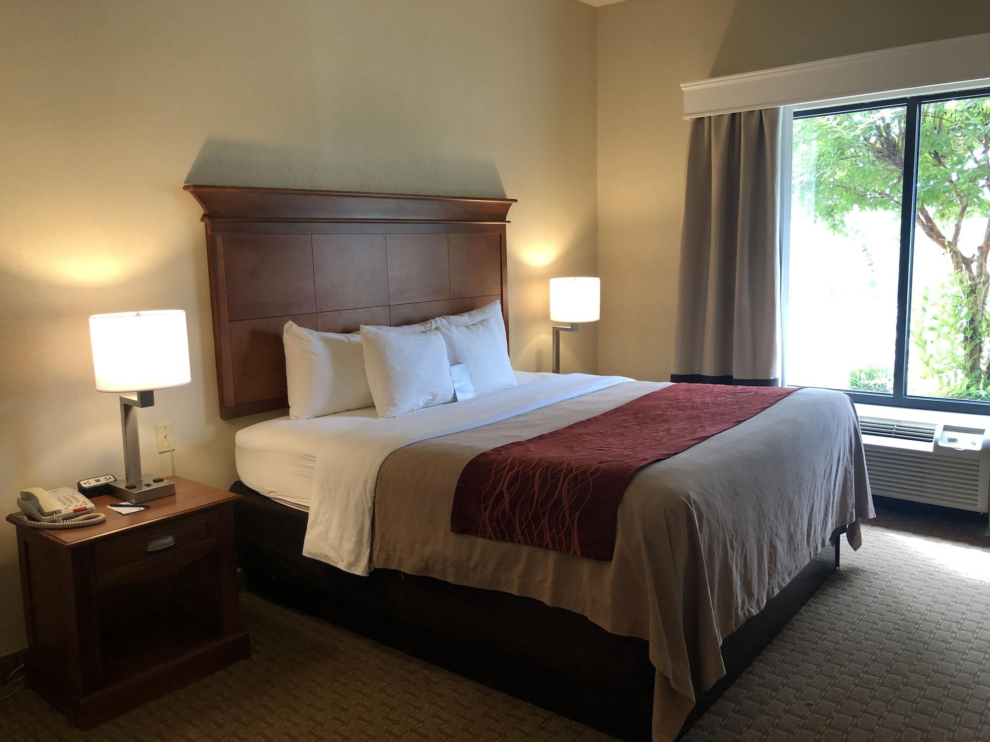 Comfort Inn & Suites Rogersville Екстериор снимка