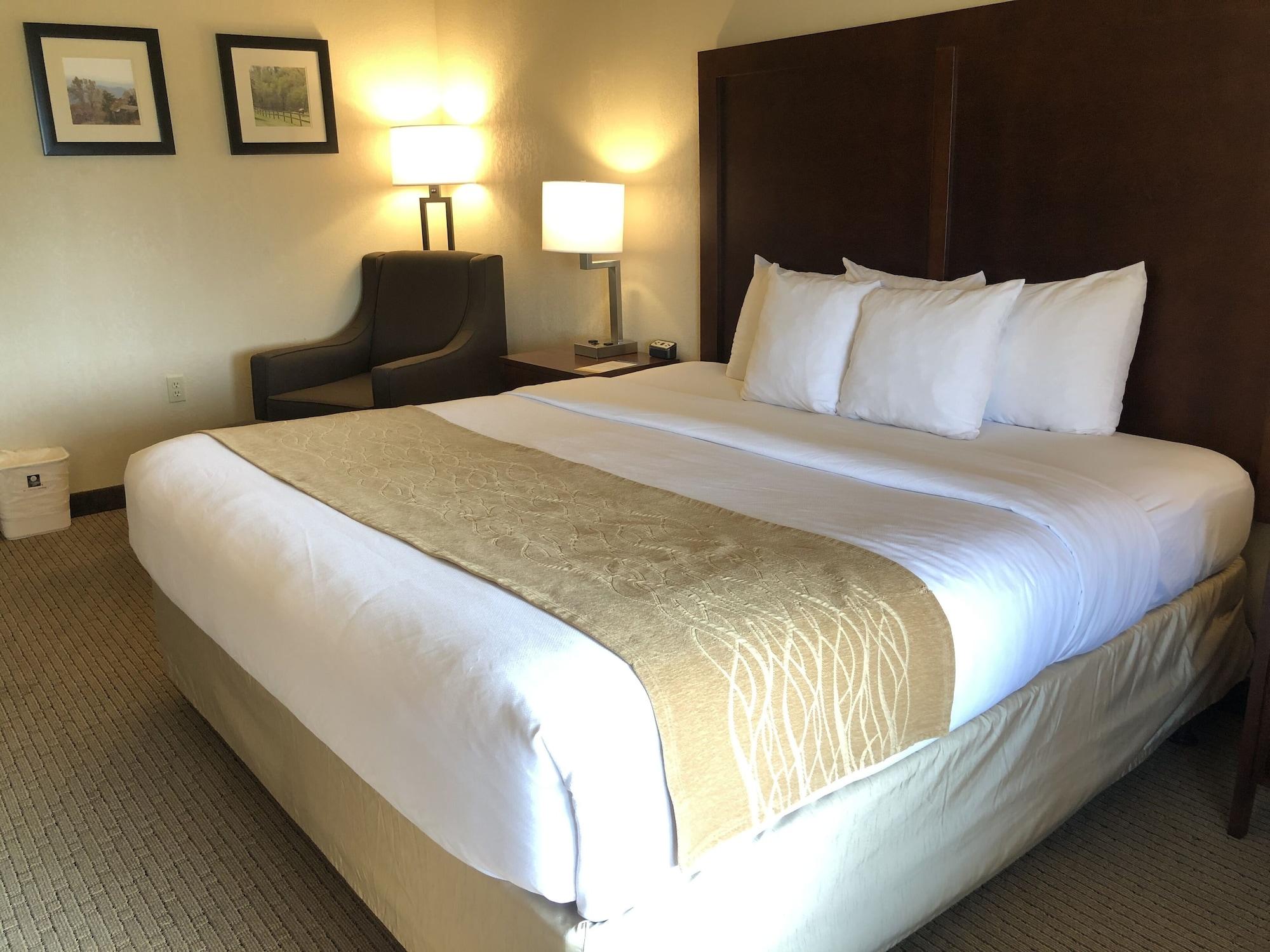 Comfort Inn & Suites Rogersville Екстериор снимка