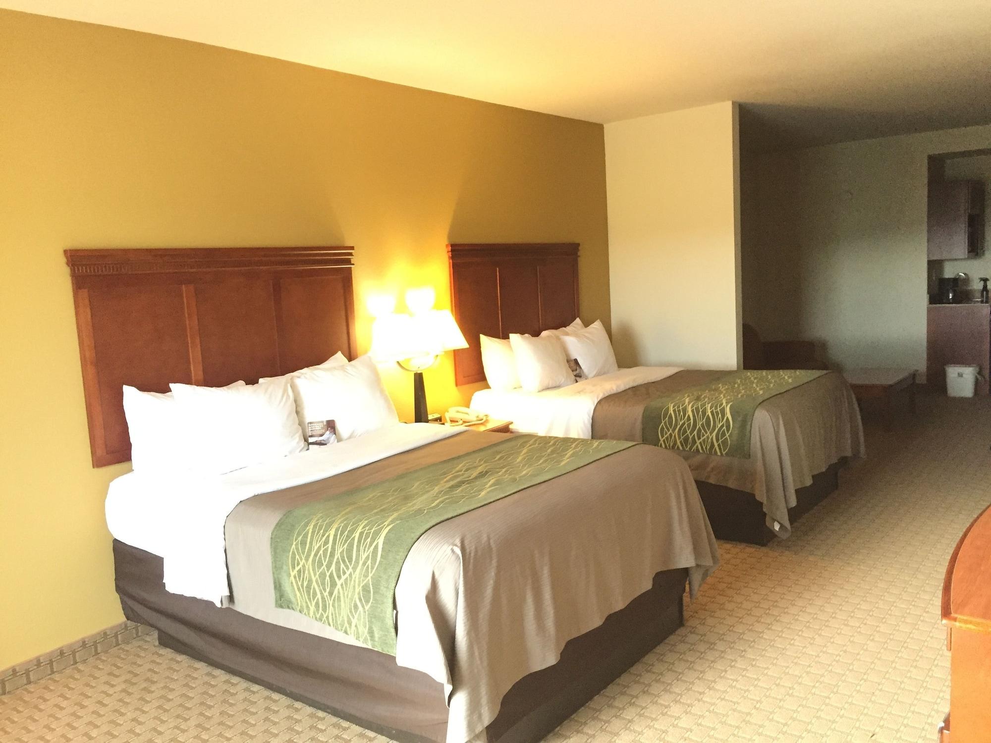 Comfort Inn & Suites Rogersville Екстериор снимка