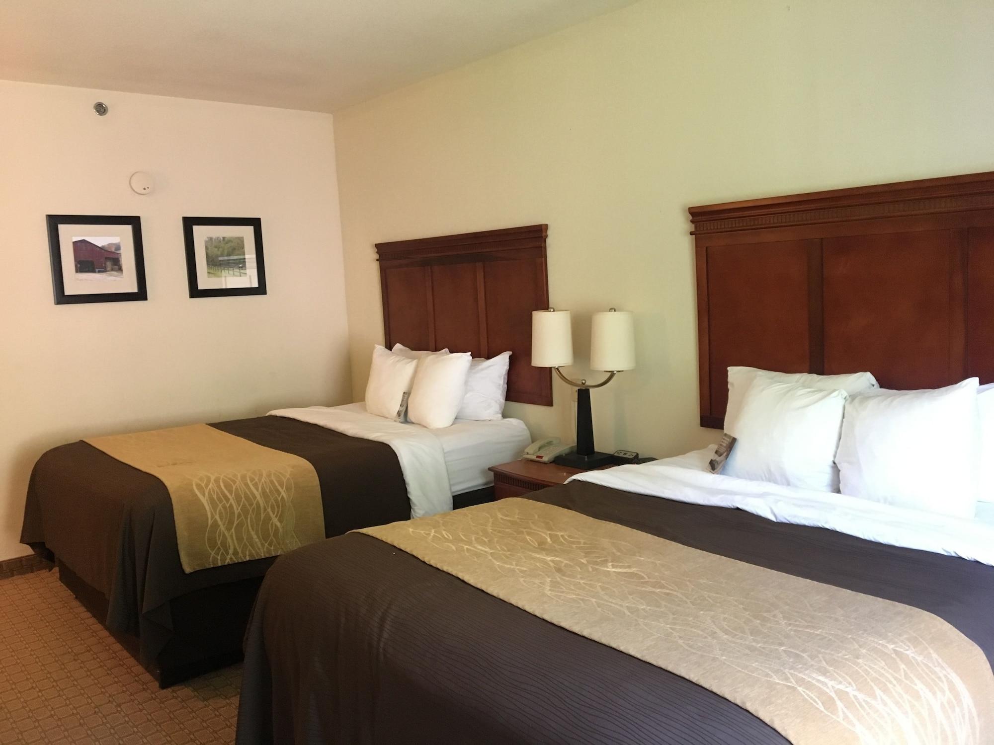 Comfort Inn & Suites Rogersville Екстериор снимка